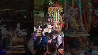 dulhe raja #shortvideo #shortsfeed #dulheraja #wedding