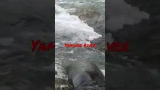 Yamuna River near Yamunotri. #yamuna #river #yamunotri #pure #ganga #nature #viral