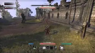 ESO - PVP - My Quickest 1V2 (Stamina NB)