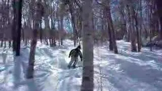 WoodsRun