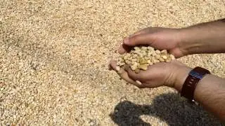 3/4