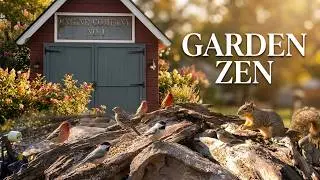 All Day Bird Watching: 8-Hour Firehouse Bird Garden Live Replay! 📹🥜