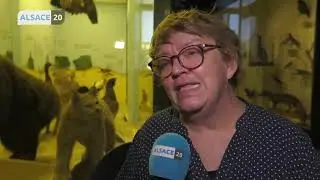 Le Musée Zoologique de Strasbourg fait peau neuve.