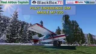 Airline Captain | Pilot Experience Sim Maule M7-235 | Bush Flying