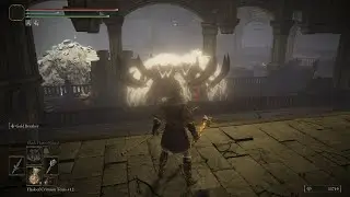 Elden Ring, but all enemies are . . . Mimic Tears?