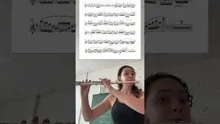 Kohler&rsquo;s Variations on Schubert (A Flute Duet) #flute#schubert#variations#flutist