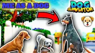 *I am a NEW DOG*- DOG SIMULATOR Gameplay | Playing As A Dog | For Android | Dog Games