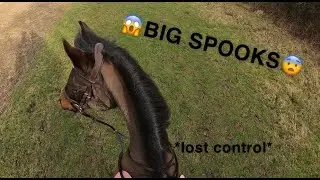 VERY spooky hack!😱 | GoPro | Emme Equestrian