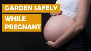 PLANTS AND PREGNANCY 🤰 How to SAFELY GARDEN while PREGNANT | Plantkins
