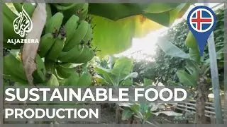 Planet SOS: Iceland pioneering sustainable food production