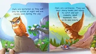 Who am I ? Owl 🦉| Book about Owls | Read Aloud | 2-5 Years Kids
