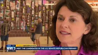 Meet the candidates in the Republican US Senate primary election
