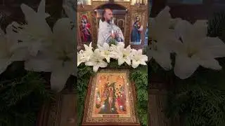 Orthodox chants / Православные Песнопения и другое &uuml;bertr&auml;gt einen Livestream.