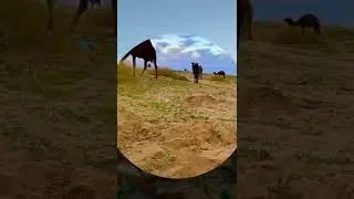 ياسعود ماهو كذا ياسعود #كلمات_واداء_عبدالله_عيد_المرواني