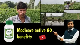 Agricultural products of modicare || Modicare active 80