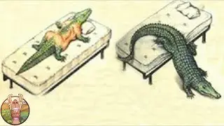 LES LIVRES LES PLUS MYST&Eacute;RIEUX DE L&rsquo;HISTOIRE | Lama Fach&eacute;