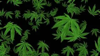 Di Good Herb Flow Mix