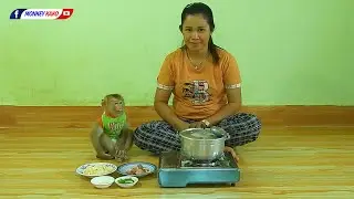Master Chef Obedient Baby KAKO Cooking Bamboo Shoot Soup With Pork Leg Recipe