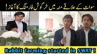 Rabbit farming started in swat!