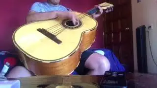 El viajero Luis Miguel (Guitarrón)