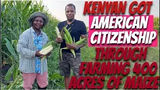 A Kenyan 🇰🇪 woman Farms 400 Acres of white Corn 🌽 in USA 🇺🇸