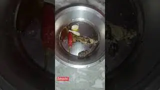 Ambula  chakata # shortvideo #ambula rasuna paga