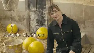 Der Aktivstall für Schweine
