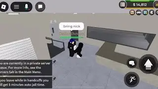 Trolling in ERlC servers
