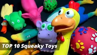 📣 10 Dog Toy Squeaky Toy Sounds for Dogs 🐶