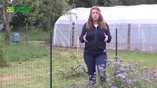 Comment ORGANISER un GRAND JARDIN ?