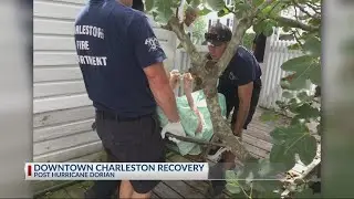 downtown recovery