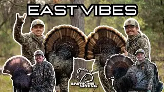 Eastern Wisconsin Turkey Hunting