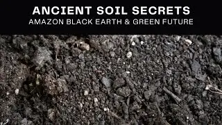 Ancient Soil Secrets: Amazonian Dark Earth and the Future of Reforestation
