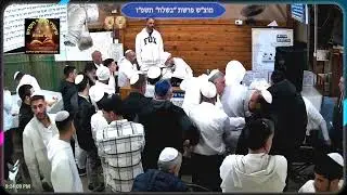 מוצ