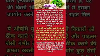 ajmod एक चमत्कारी औषधि #shorts #ayurveda #ajmod #shortfeed #shortvideo #health #herbs