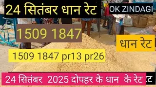 1509 super52 pr13 pr26 rh10 paddy price today |