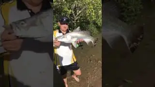 Chasing Tide - Catch and Release Barramundi North Queensland