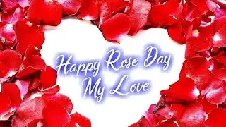 Romantic 🌹 rose day wishes for love both bf and gf💋💞