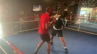 SPARRING INTRO 1 STEELEBOXER ONLINE BOXING TRAINING PROGRAM www.steeleboxer.com