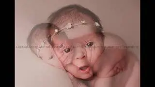 Best Orange County Newborn Photographer - Phoenix Newborn Girl Photos