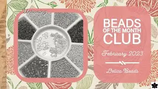Beads of the Month Club - Delicas - February 2023