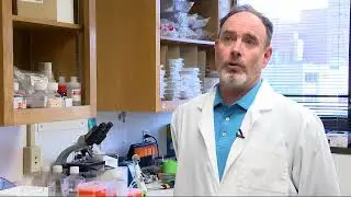 Oklahoma Medical Research Foundation receives $3.9 Million grant to research auto immune diseases