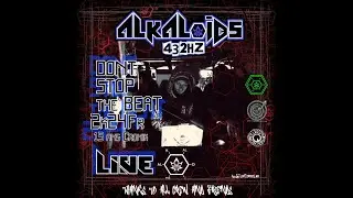 Alkaloids432hz liveset | Don&rsquo;t Stop the Beat | 15th anniversary of Cronik Sound System