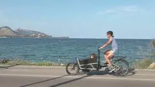 E-cargo bike Riese & M&uuml;ller Load 60 Touring