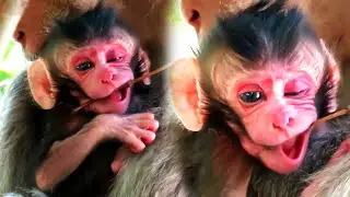 Wow!!! Super Cutest Newborn Baby Moments In Mommy's Care Full Time
