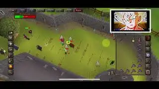 OSRS Mobile Pure PK Rune with Arrows. 💘