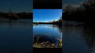 P&ecirc;che de la Carpe sur l&rsquo; H&eacute;rault : Une Session ensoleill&eacute;e en Pleine Nature