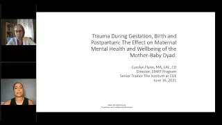 Trauma During Gestation, Birth, and Postpartum: Effect on Maternal Mental Health and Wellbeing of...