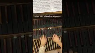 No pedal. No decay. Total responsibility. #pipeorgan #technique