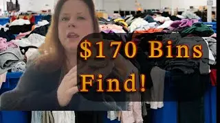 Cazy $170 Goodwill Bins Find to Resell for Profit!